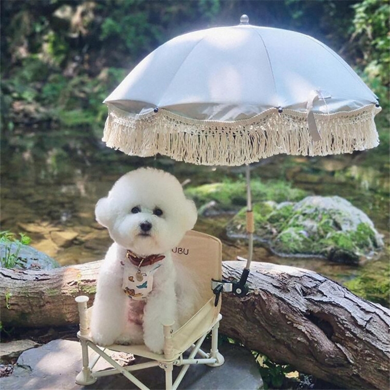 Accesorios fotografía para niñ - Kids Outdoor Umbrella reseña y precio